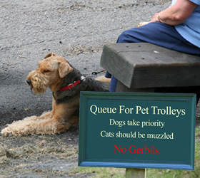Dog Trolley Sign
