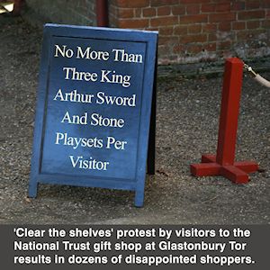 Playset sales limited to three per customer